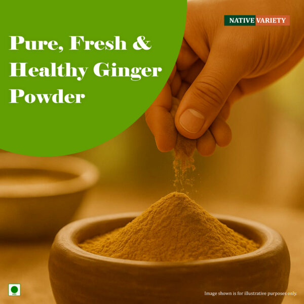 dry ginger powder 150g