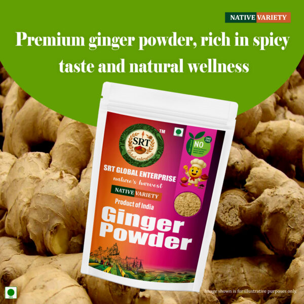 dry ginger powder 150g