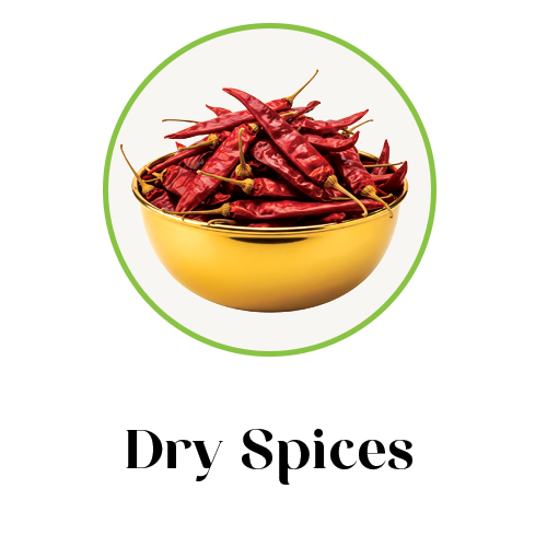 dry spices icon