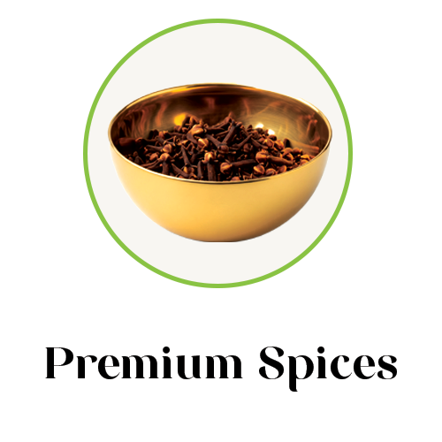 premium spices icon